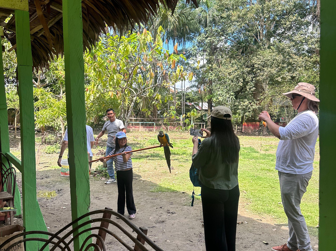 Amazon Andes Expedition-伊基托斯必去景点