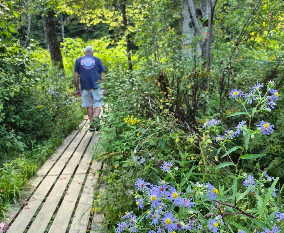 Moss Glen Falls-斯托必去景点