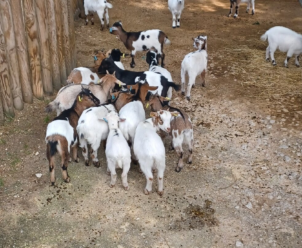 Zoo de La Palmyre-La Palmyre-Les Mathes必去景点