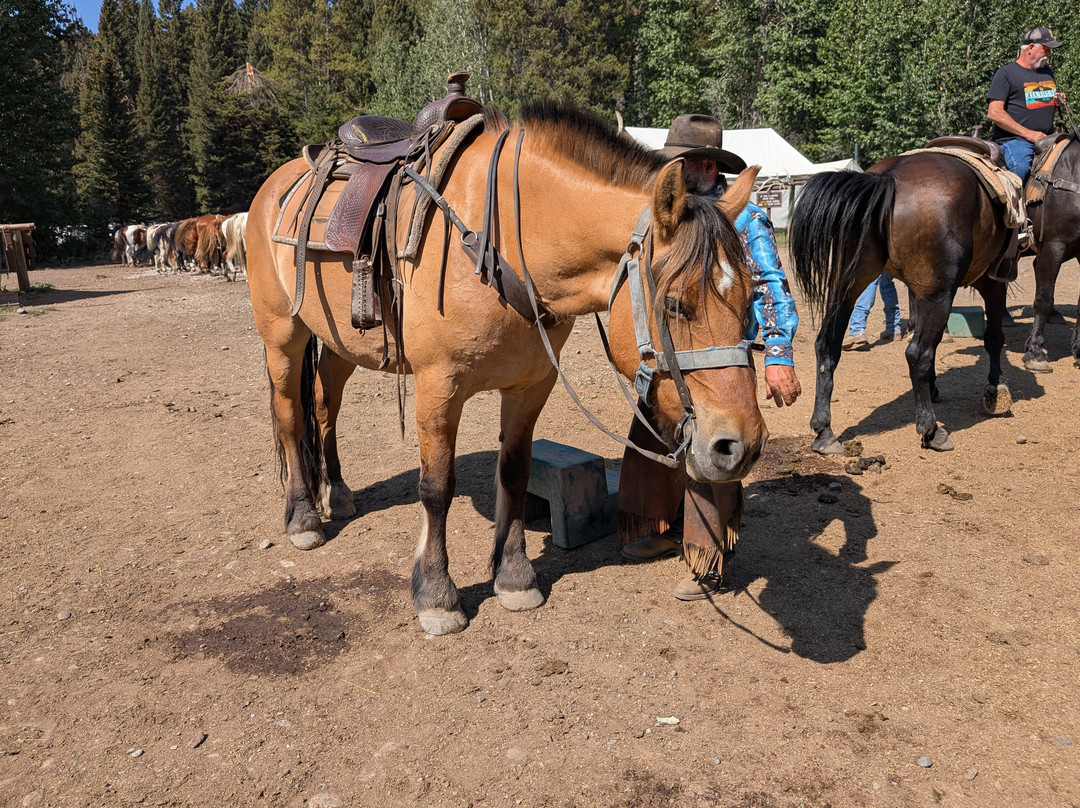 Swift Creek Outfitters & Teton Horseback Adventures-莫兰必去景点