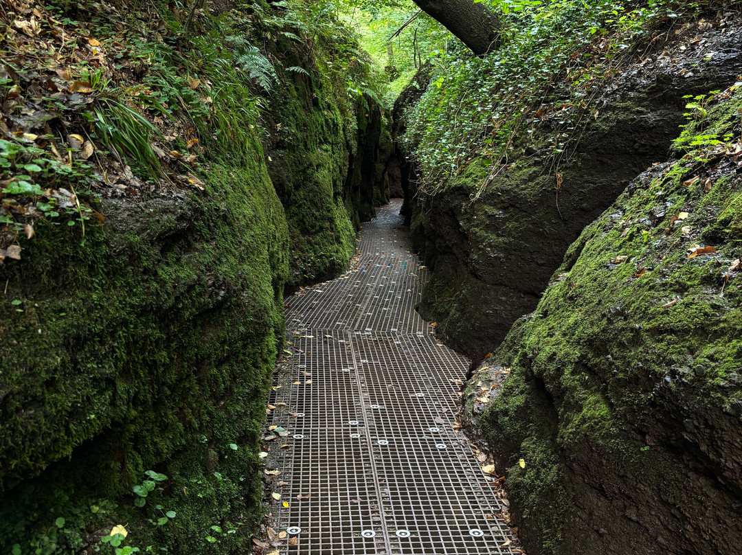 Drachenschlucht / Landgrafenschlucht-艾森纳赫必去景点