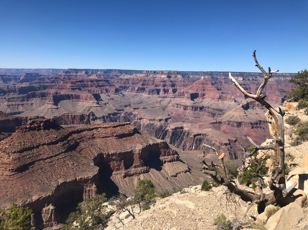 Rim Trail-大峡谷国家公园必去景点