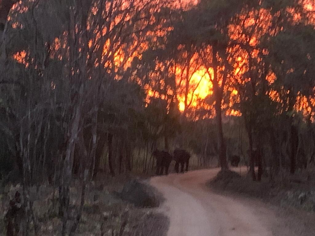 Ayubowan Travels International (pvt) Ltd-Wattala必去景点