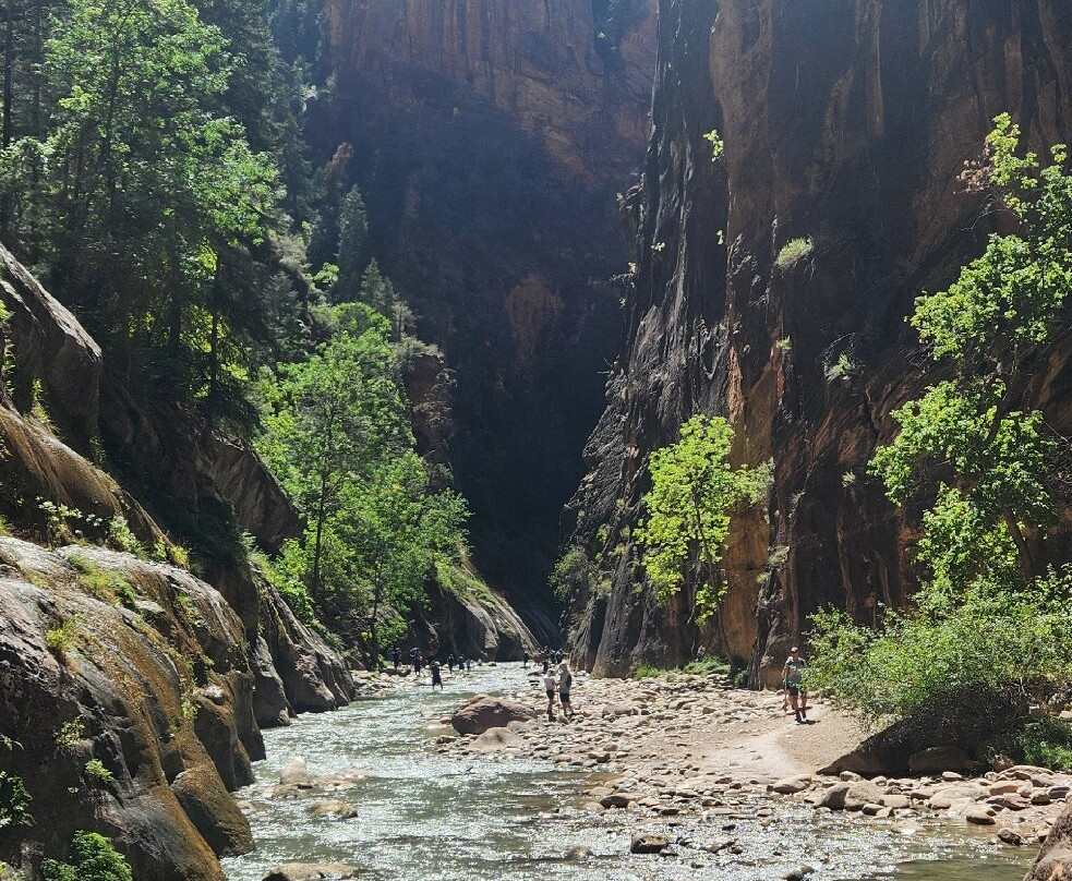 Zion Park Motel主图