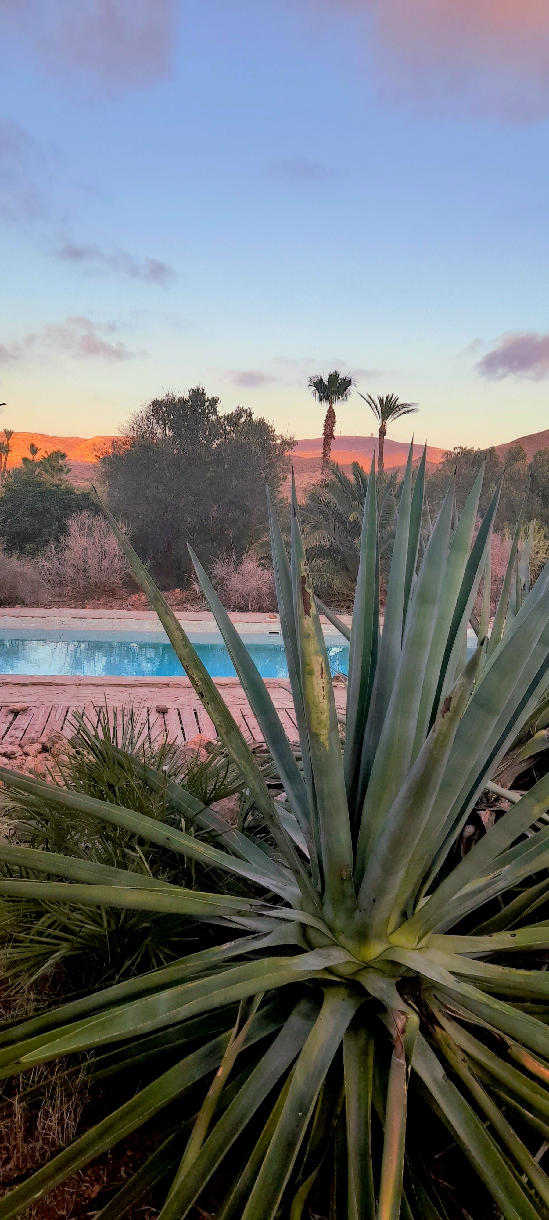 El Jardin De Los Suenos-官方