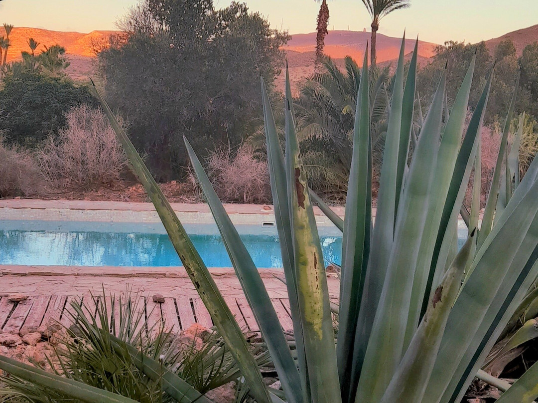 El Jardin De Los Suenos主图