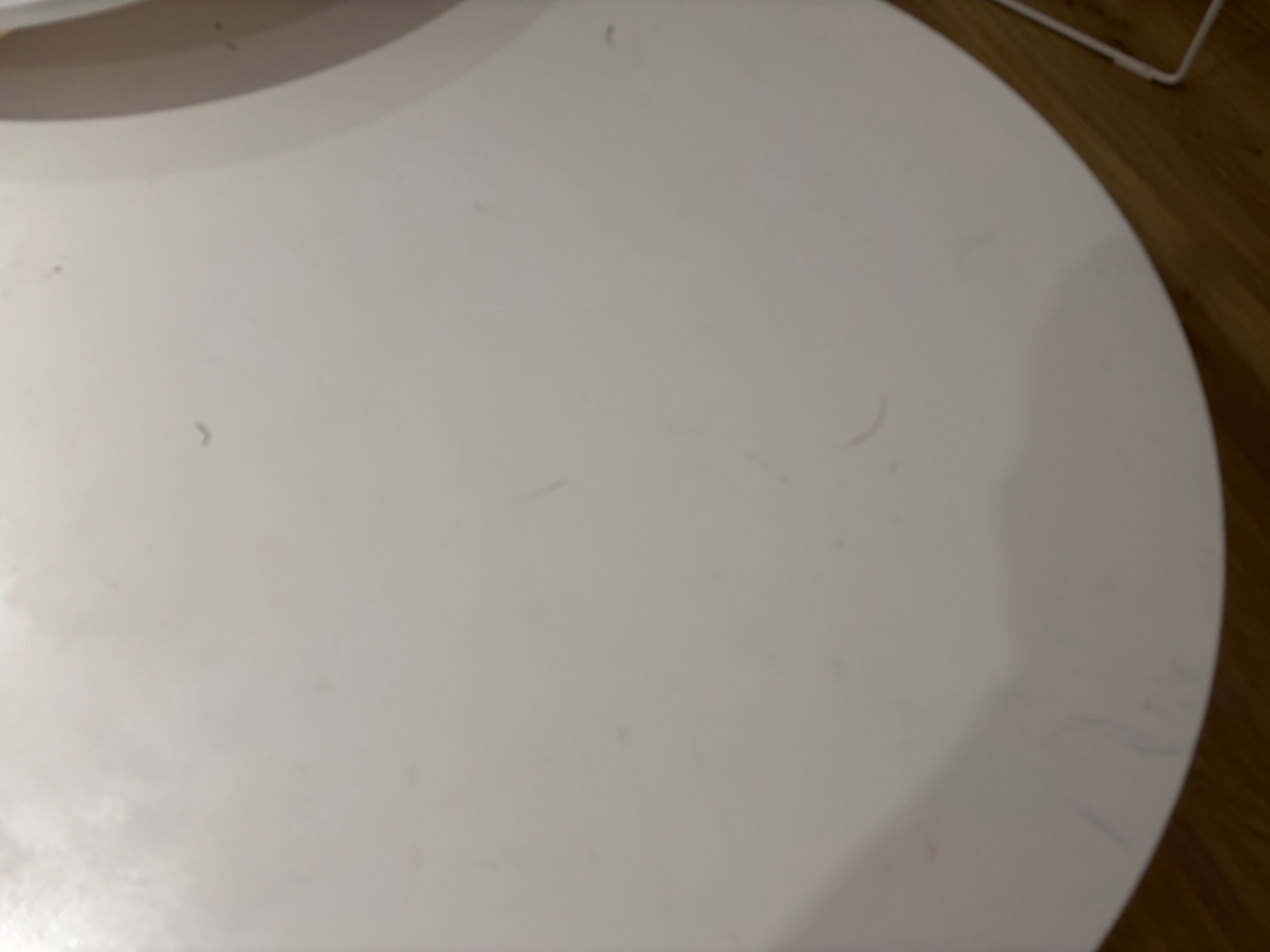 Oasis Lanz Beach Mate-客卧