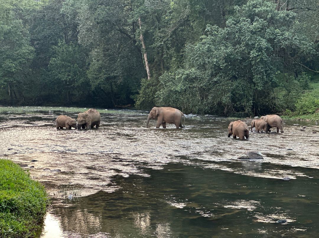 Munnar Info-慕那尔必去景点