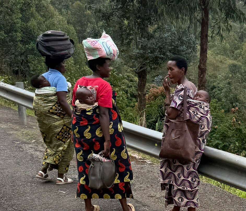 Primate Safaris-吉佳利必去景点