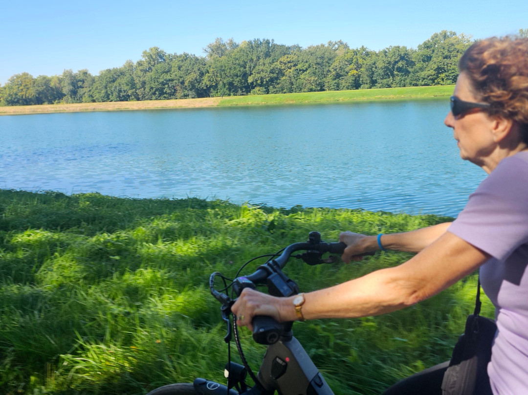 Breisacher Fahrradverleih-Breisach am Rhein必去景点