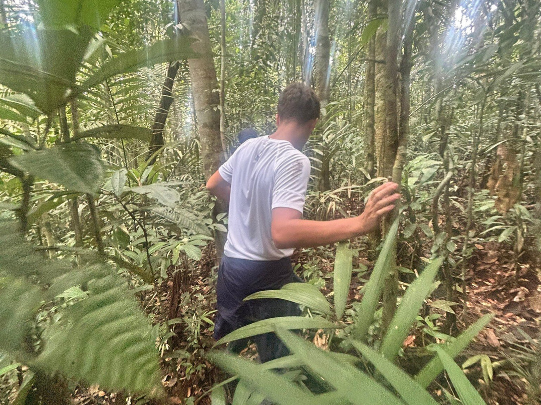 Cuyabeno Dolphin Lodge-Cuyabeno Wildlife Reserve必去景点