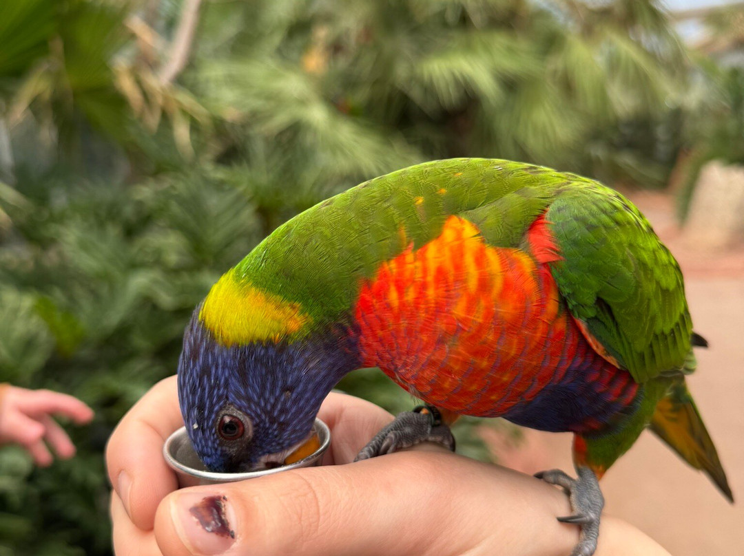Vogelpark Avifauna-Alphen aan den Rijn必去景点