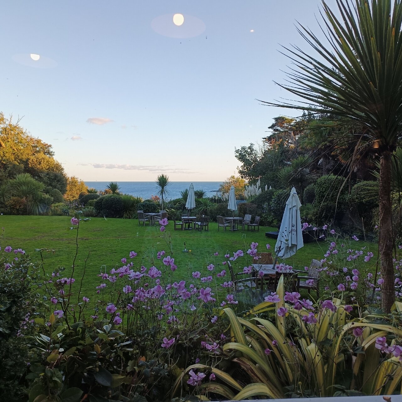 Hotel Rosevine-官方