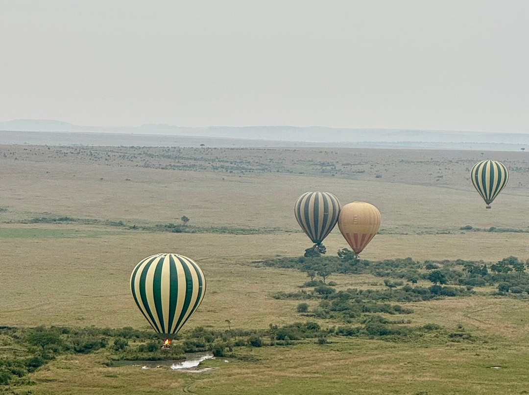 Balloon Safaris Ltd.-马赛马拉国家野生动物保护区必去景点