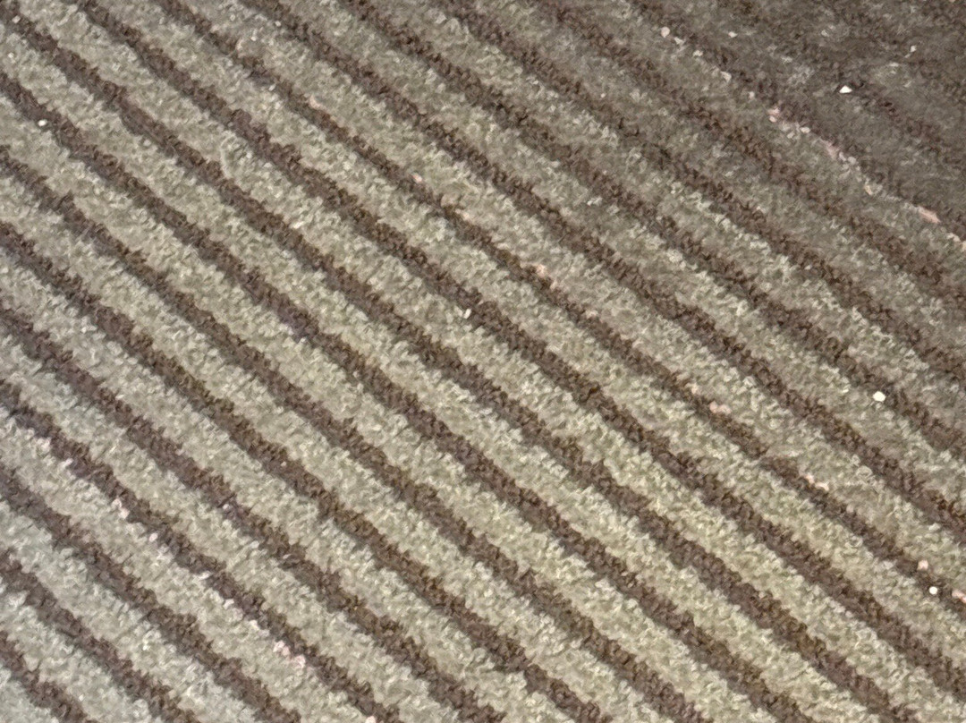 Best Western University Inn主图