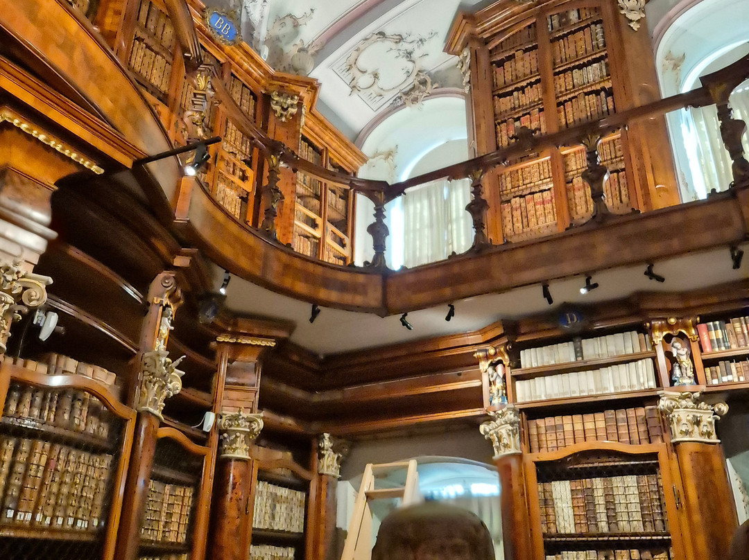 圣加仑修道院图书馆（Stiftsbibliothek）-圣加仑必去景点