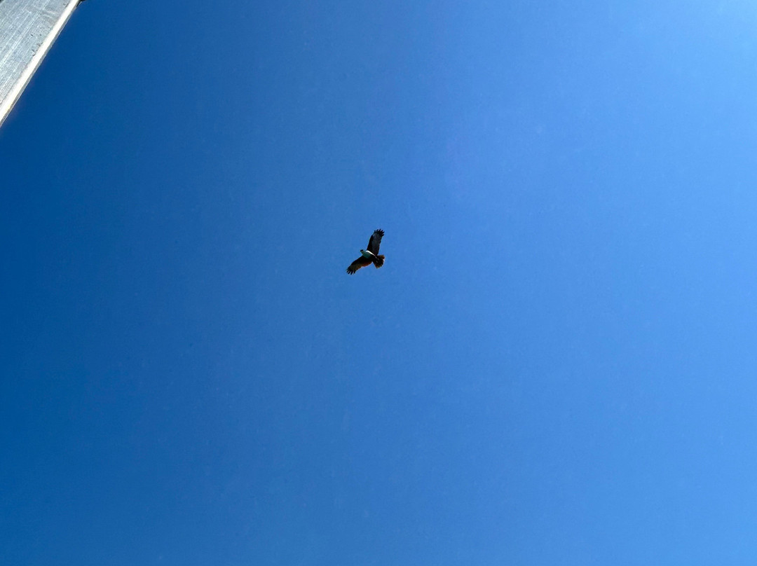 Get Around Island Boat Tours & Hire-Magnetic Island必去景点