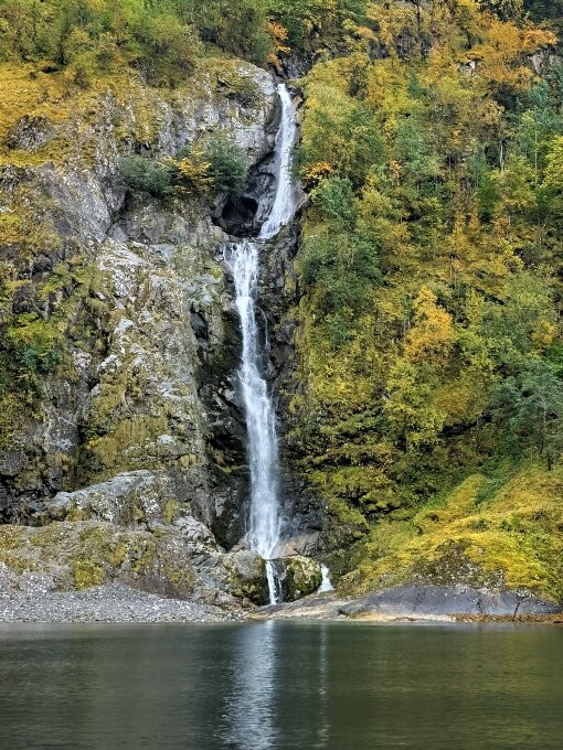 FjordSafari-弗洛姆必去景点