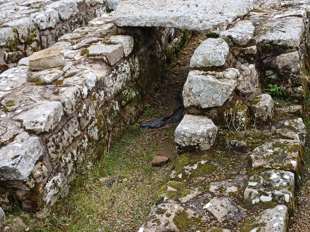 Vindolanda-赫克瑟姆必去景点