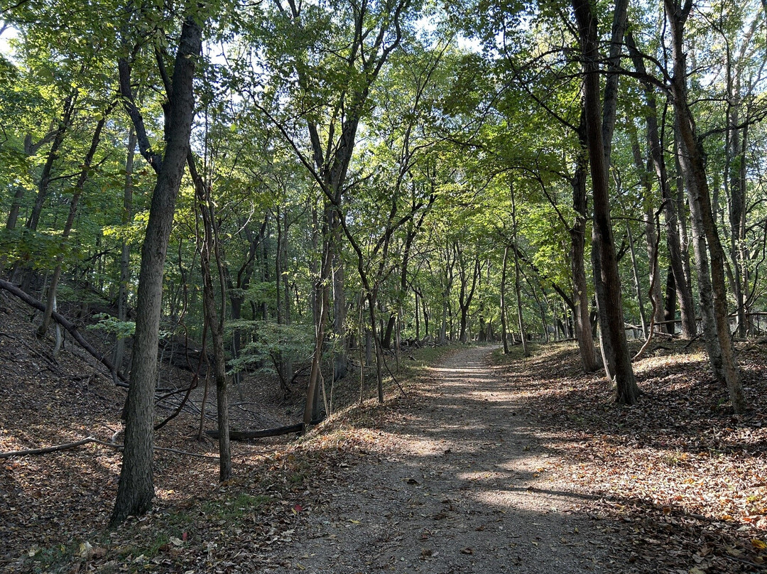 Forest Park Nature Center-皮奥里亚必去景点