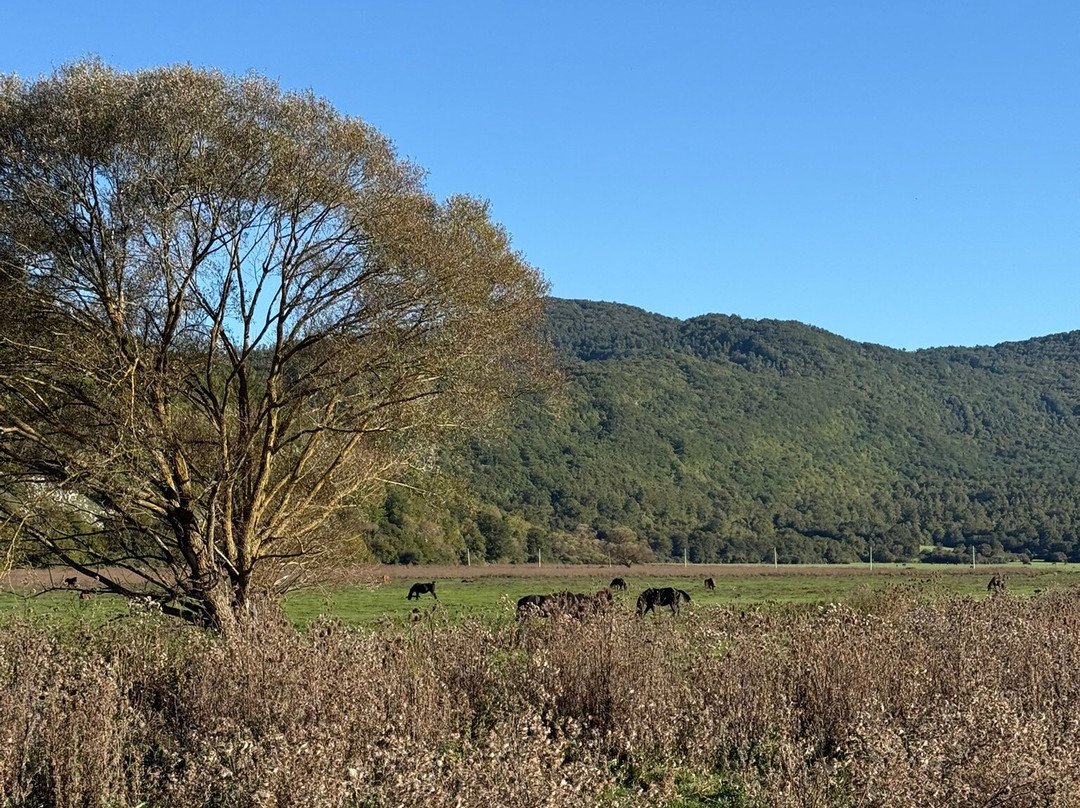 Ranch Brionna-Castel di Sangro必去景点