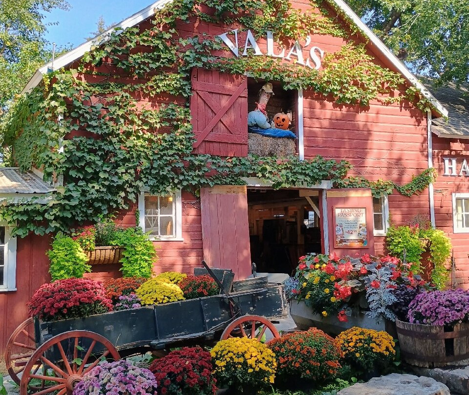 Vala's Pumpkin Patch-Gretna必去景点