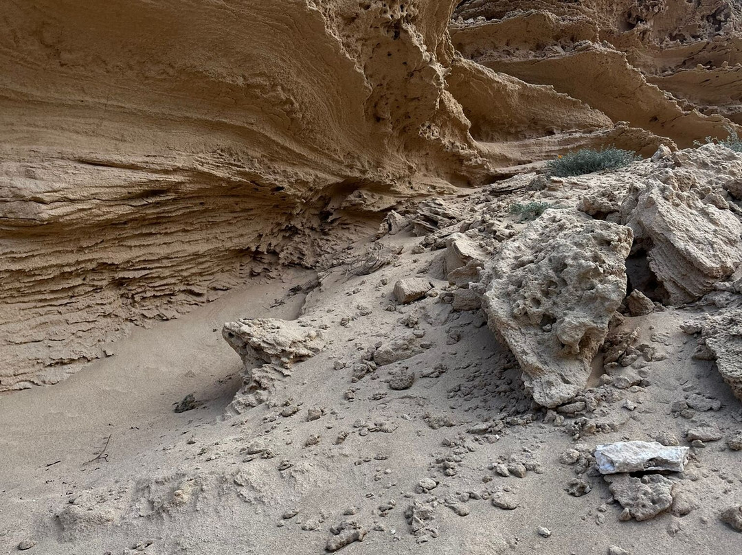 Dunas Viagens e Turismo-Porto Santo Island必去景点