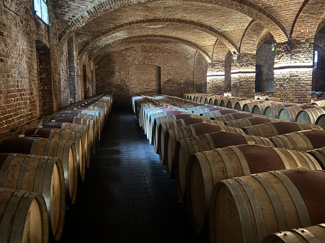Ceretto Aziende Vitivinicole-阿尔巴必去景点