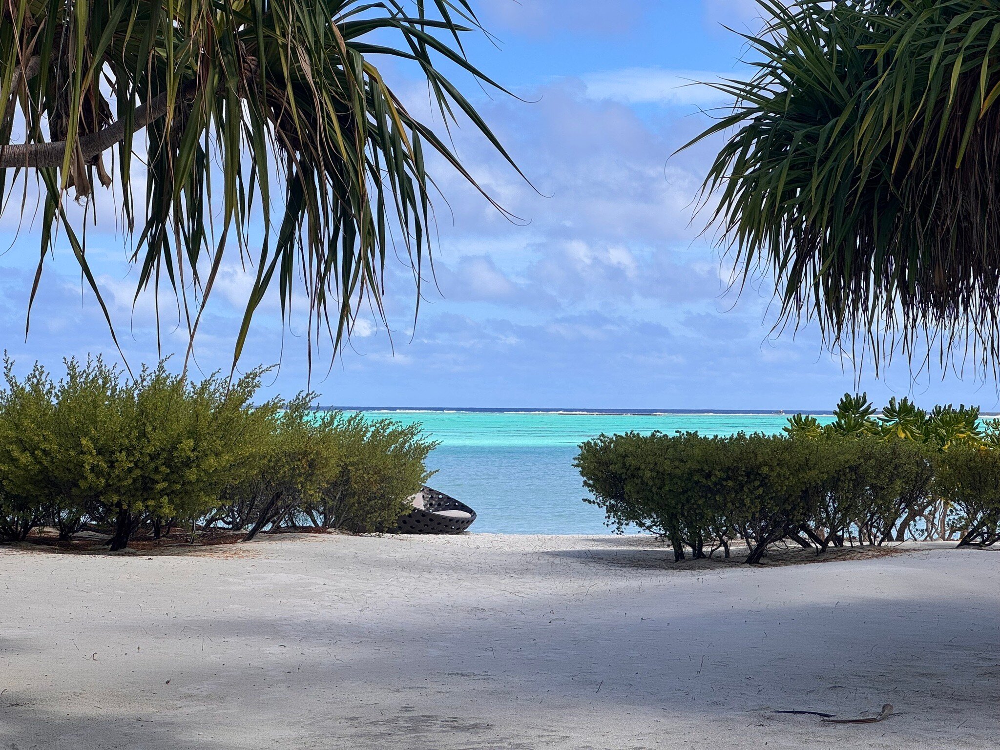 白兰度山林小屋-官方