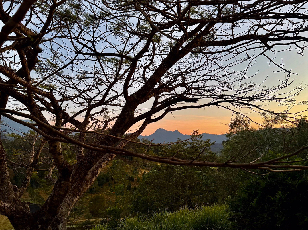 Hillcrest Mountain View Retreat主图