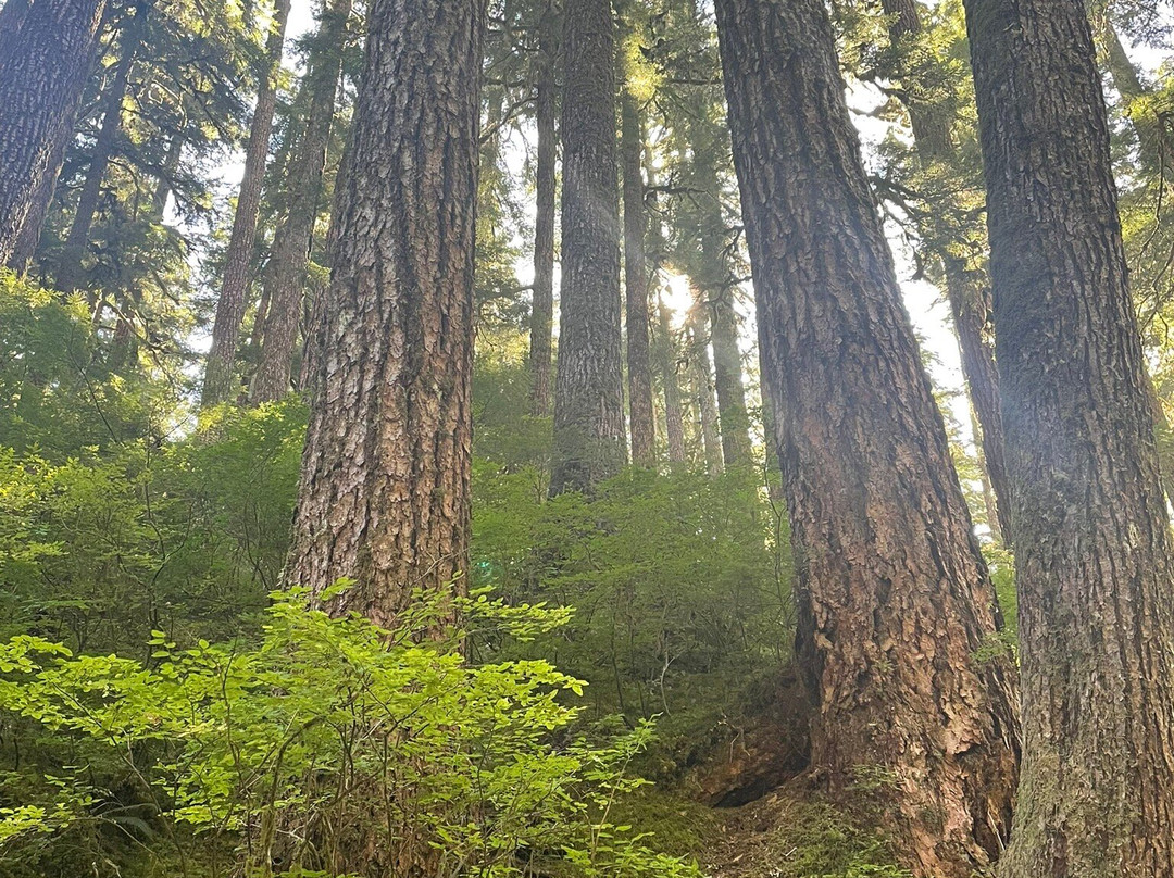 Lovers Lane trail-安吉利斯港必去景点