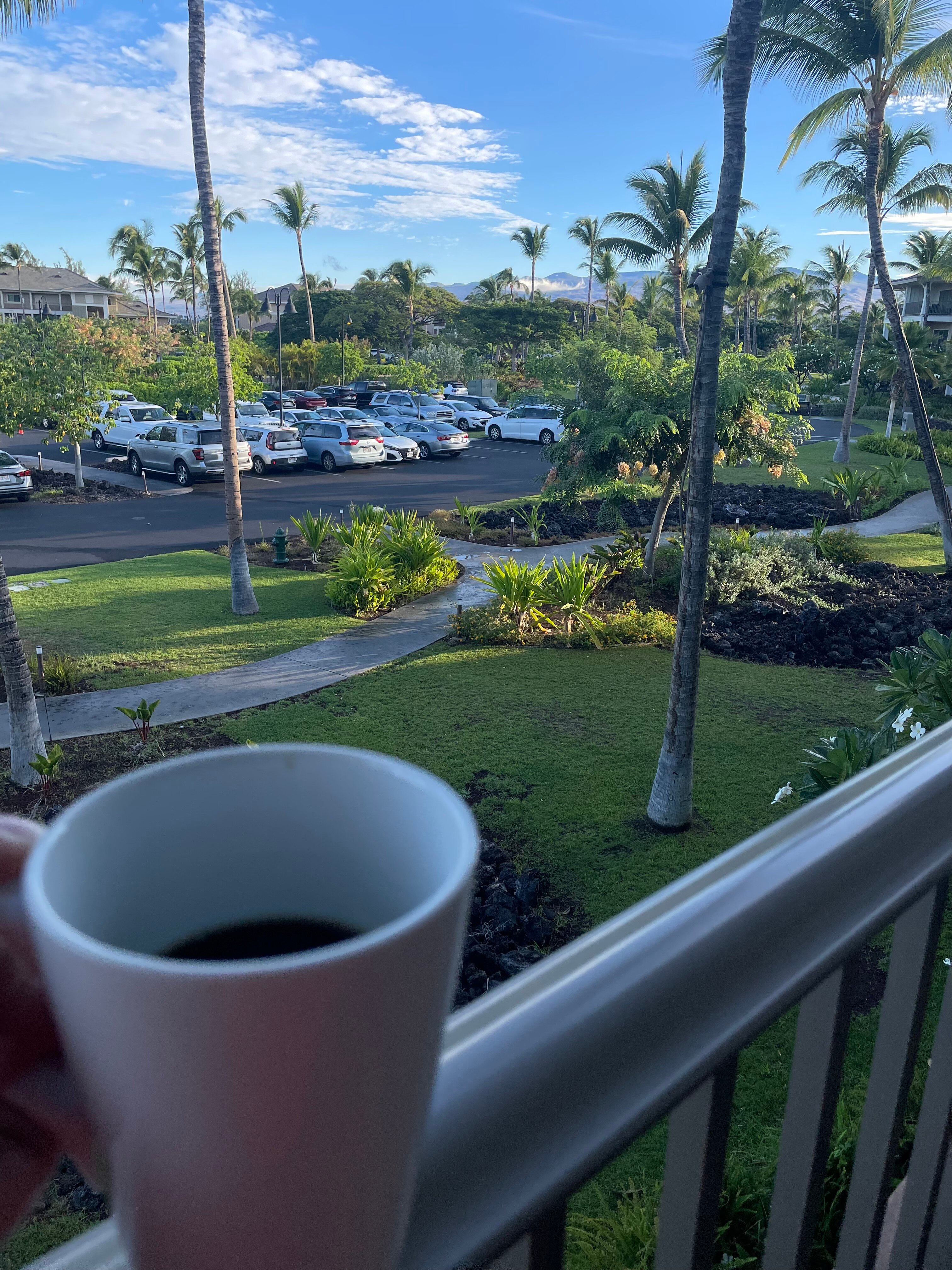 希尔顿度假俱乐部国王之地-浴室