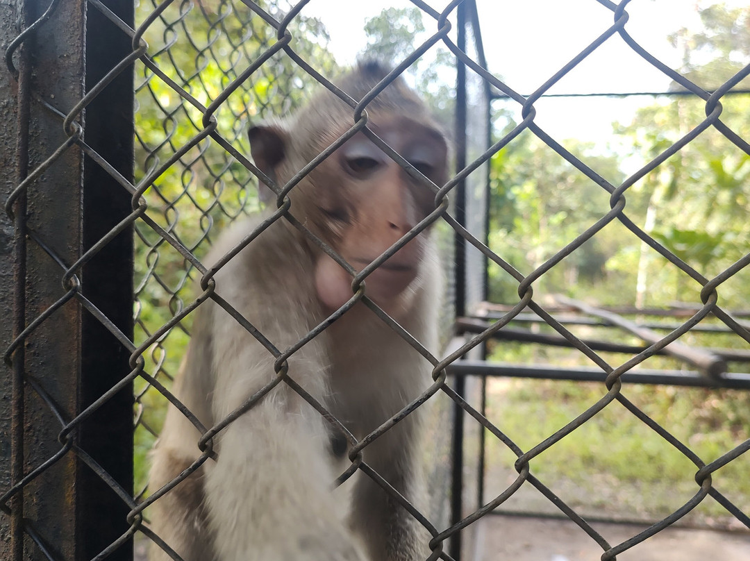 Wildlife Alliance-戈公必去景点