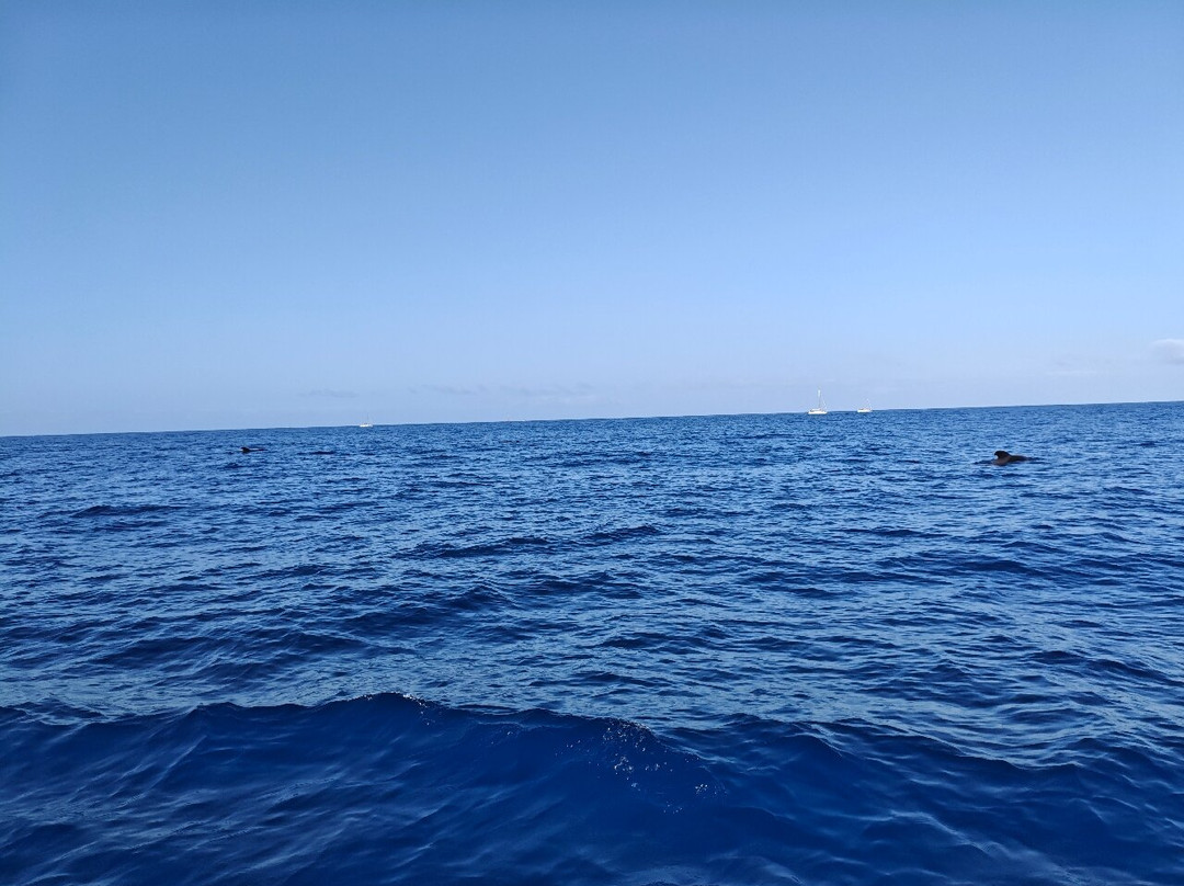 Opera 60 Luxury Charters-奥德杰海岸必去景点