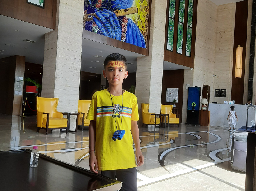 Lemon Tree Premier, Dwarka主图