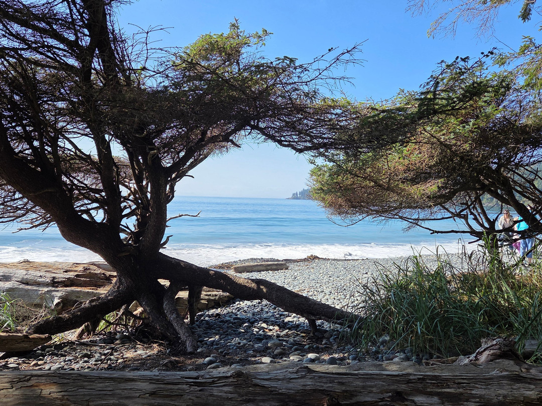 French Beach Provincial Park-苏克必去景点
