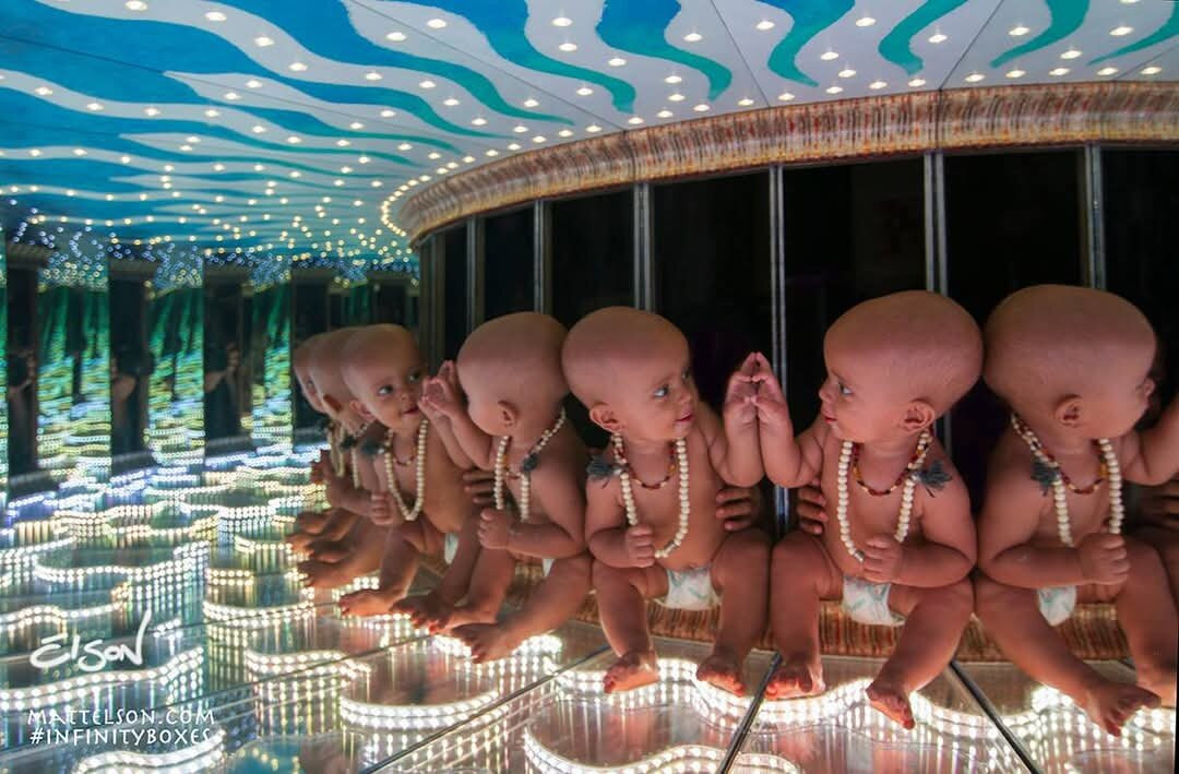 Roots & Stars Botanika-Morongo Valley必去景点