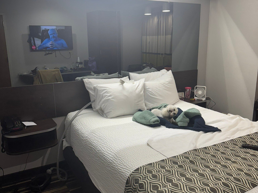 Microtel Inn & Suites by Wyndham Franklin主图