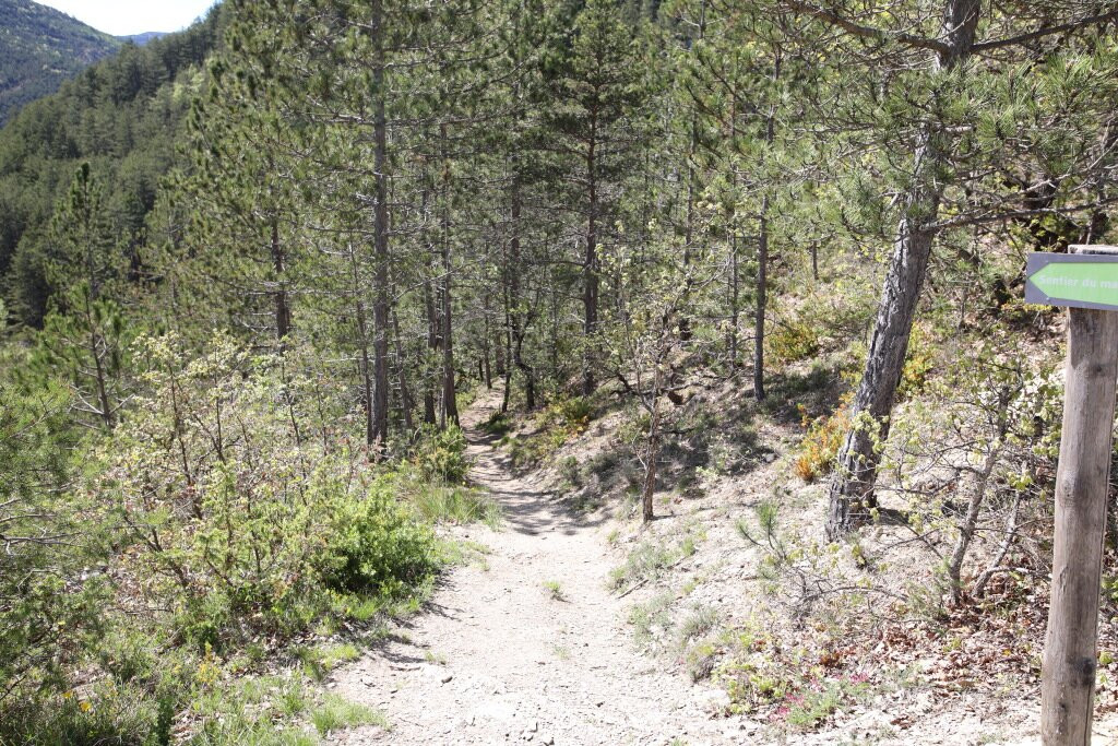 Marais Des Bouligons-Luc-en-Diois必去景点