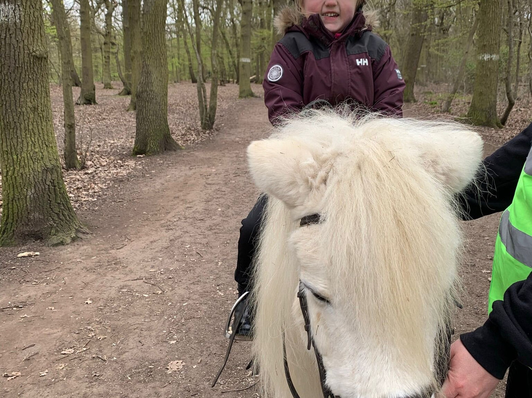 Belfairs Riding School-Leigh-on Sea必去景点