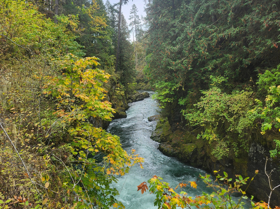 Stamp River Provincial Park-艾伯尼港必去景点