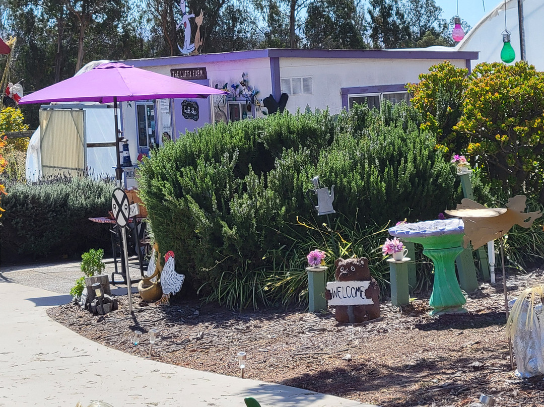 The Luffa Farm-Nipomo必去景点