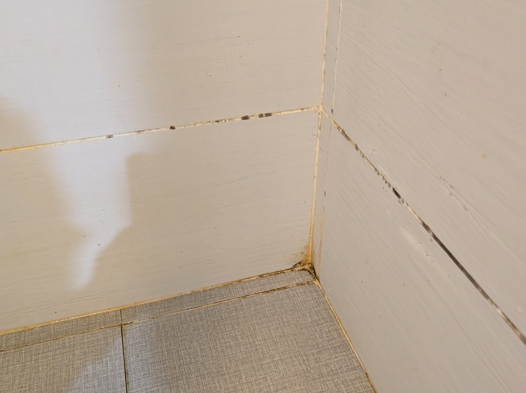 Sunrise Hanoi Hotel主图