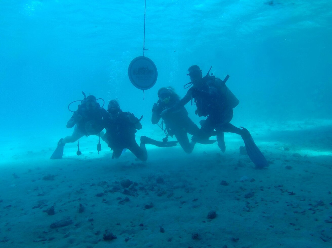 Deep Ocean Blue Diving Center-艾尔可西利亚必去景点