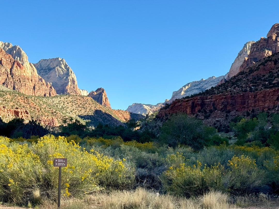 Zion Peddler-斯普林代尔必去景点
