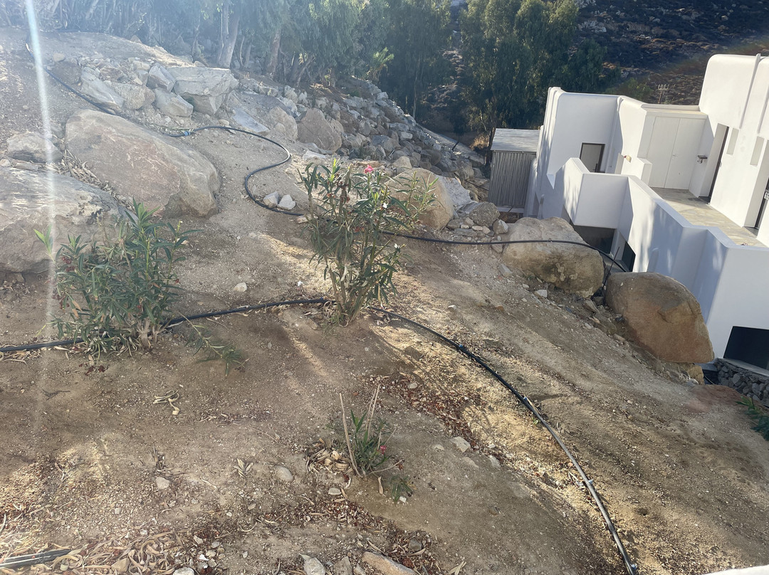 Myconian Imperial主图