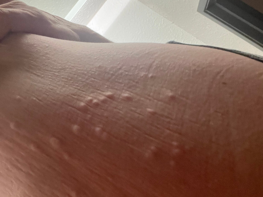 Microtel Inn & Suites by Wyndham Zephyrhills主图