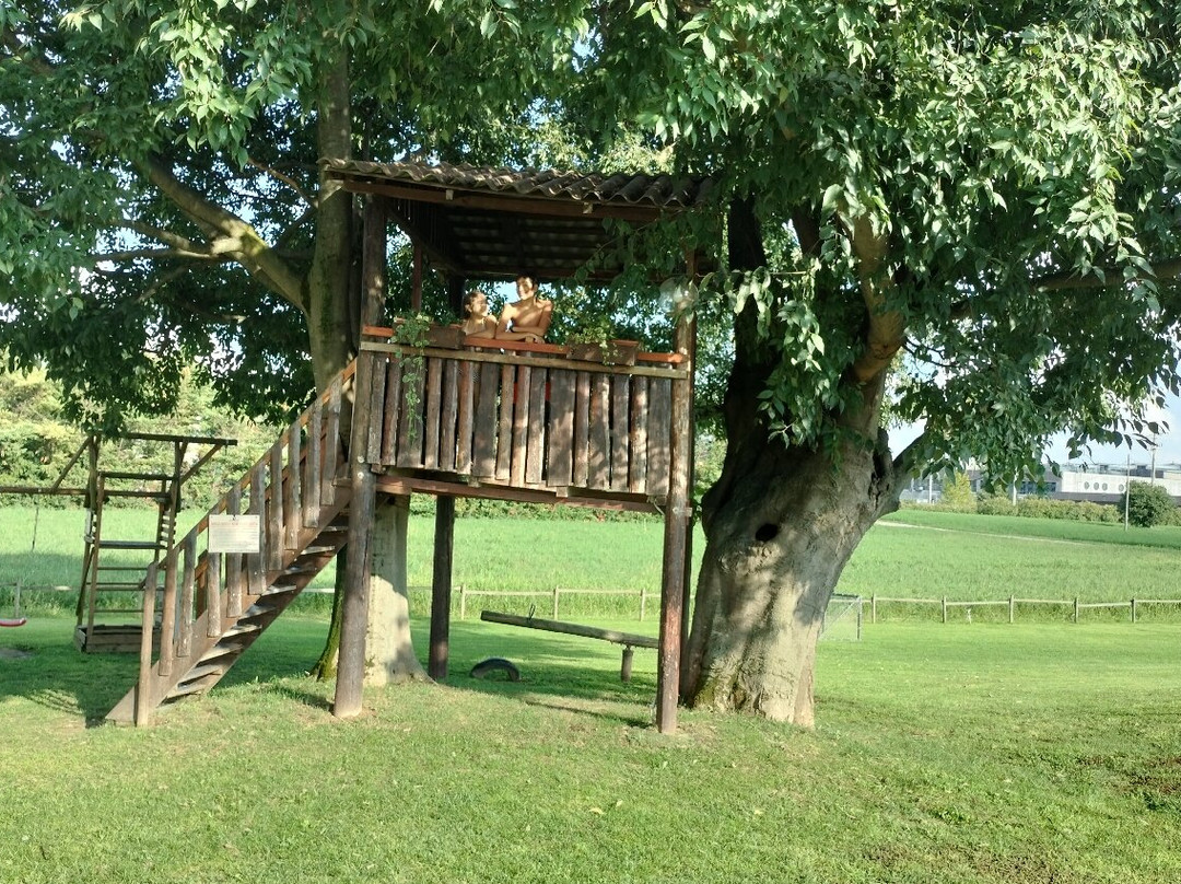 B&B Bosco del Gal主图