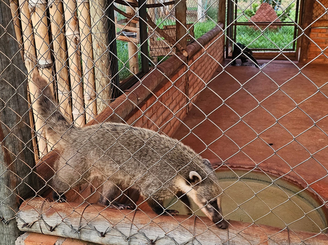 Bio Park-博尼图必去景点