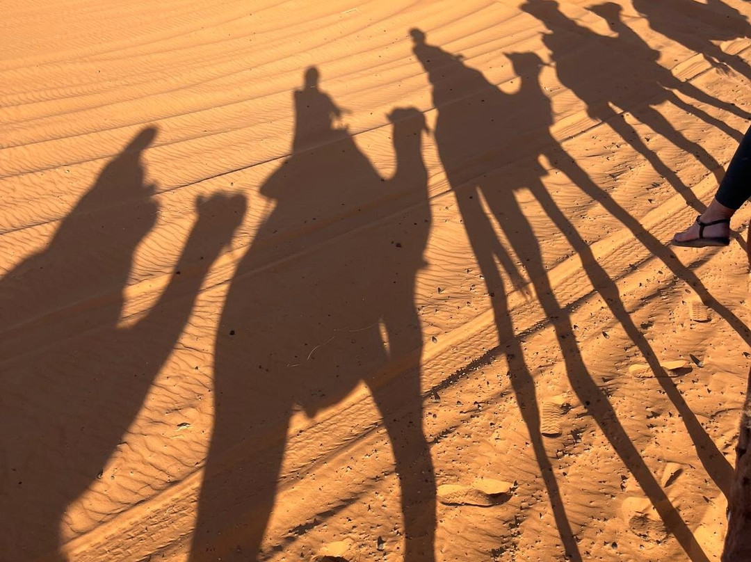 Sunshine Morocco Tours-马拉喀什必去景点